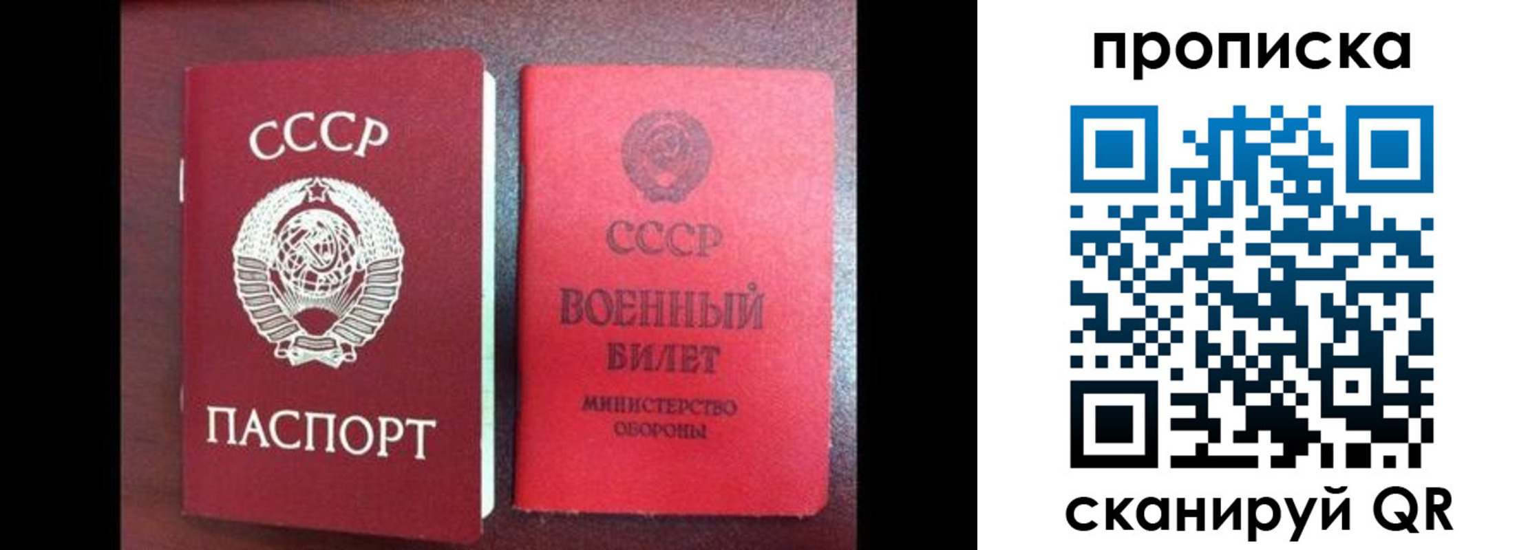 временная регистрация поиск в Гае